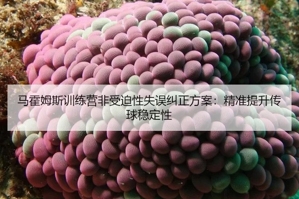 ma-huo-mu-si-xun-lian-ying-fei-shou-po-xing-shi-wu-jiu-zheng-fang-an-jing-zhun-ti-sheng-chuan-qiu-wen-ding-xing-2-857.jpg