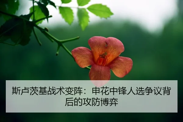 si-lu-ci-ji-zhan-shu-bian-zhen-shen-hua-zhong-feng-ren-xuan-zheng-yi-bei-hou-de-gong-fang-bo-yi-2-365.jpg