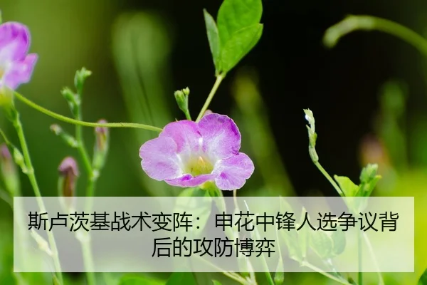 si-lu-ci-ji-zhan-shu-bian-zhen-shen-hua-zhong-feng-ren-xuan-zheng-yi-bei-hou-de-gong-fang-bo-yi-3-373.jpg
