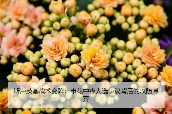 斯卢茨基战术变阵：申花中锋人选争议背后的攻防博弈