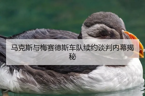 ma-ke-si-yu-mei-sai-de-si-che-dui-xu-yue-tan-pan-nei-mu-jie-mi-2-901.jpg