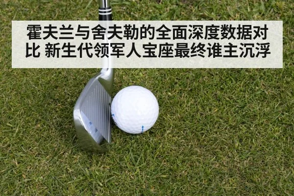 霍夫兰与舍夫勒的全面深度数据对比 新生代领军人宝座最终谁主沉浮