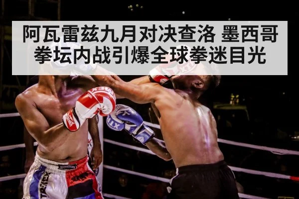 boxer training gloves